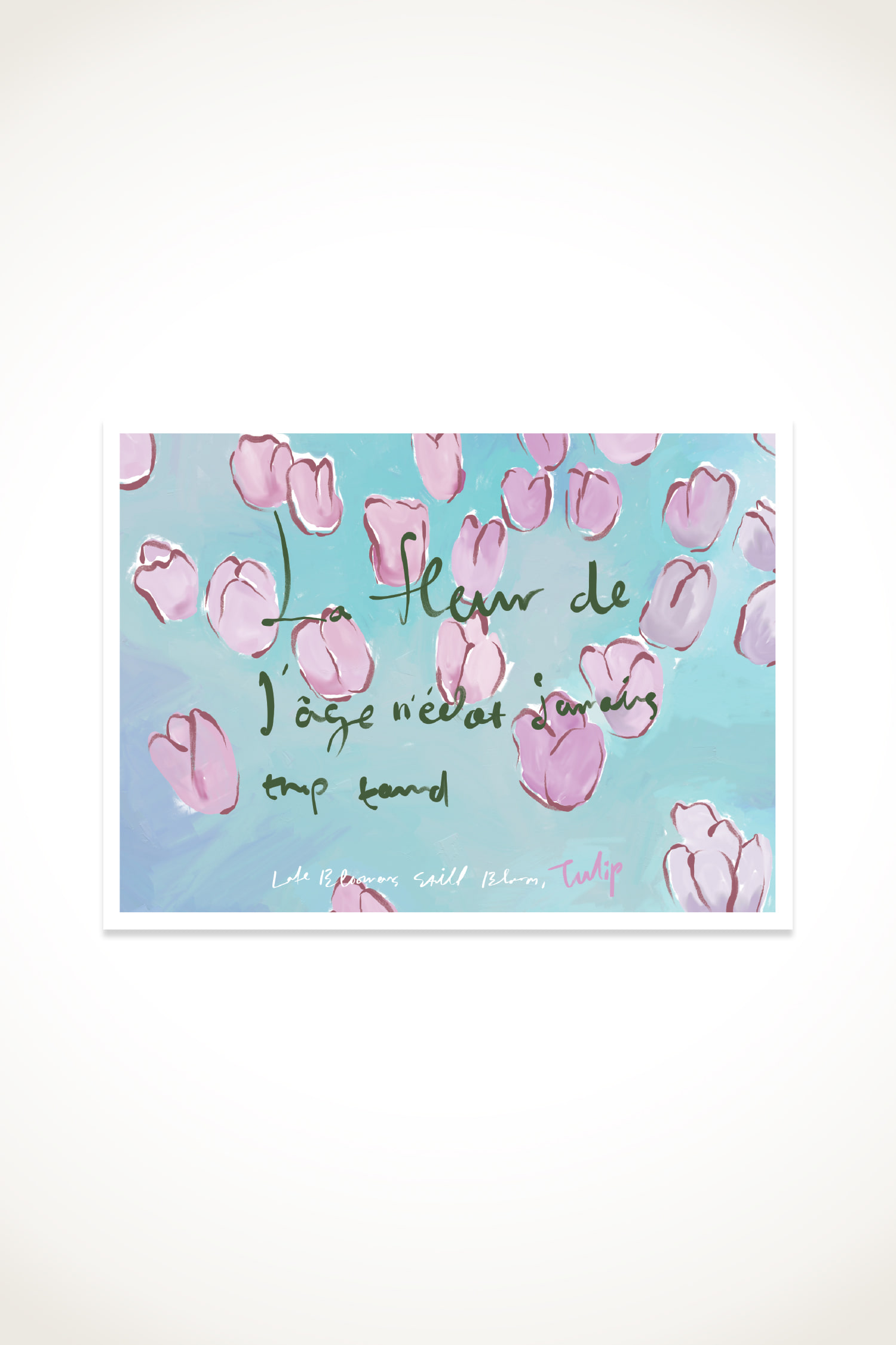 Late Bloomers, Tulip Postcard